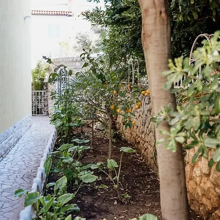 Palma 3* Mali Lošinj