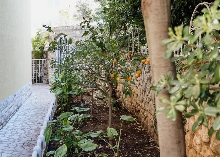 Palma 3* Mali Lošinj