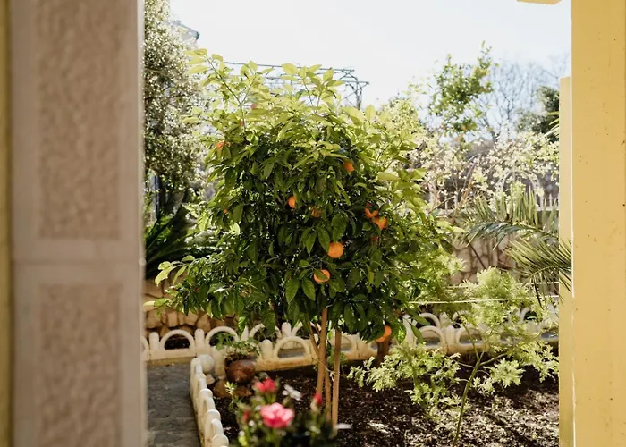 Palma ゲストハウス 3*