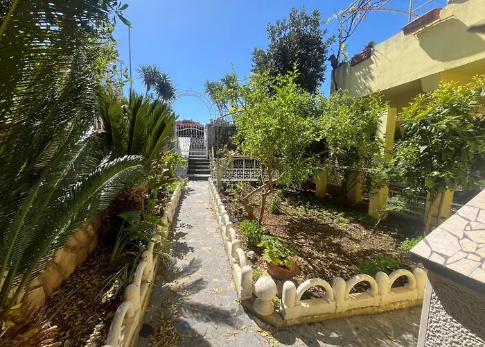 Palma ゲストハウス